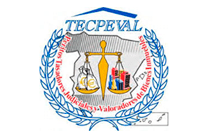 Perito Tasador Judicial
